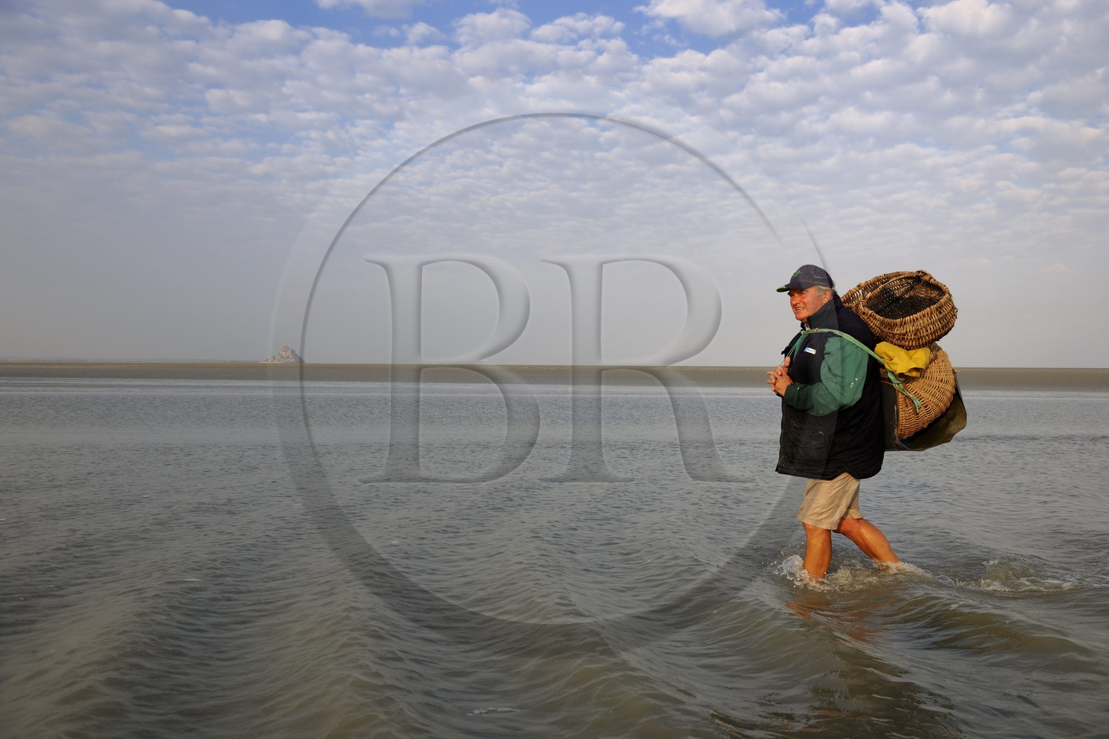 France, Manche (50), Baie du Mont-Saint-Michel, le pêcheur de grêve Guy Jugan allant relever ses filets de crevettes grises