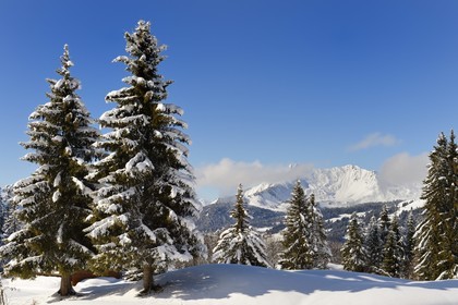 France, Haute Savoie, Morzine, the valley of Aulps, massif of Chablais, ski slopes of the Portes du Soleil,