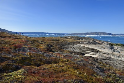 Groenland, cote ouest, baie de Disko, randonneurs sur une ile de la baie de Quervain