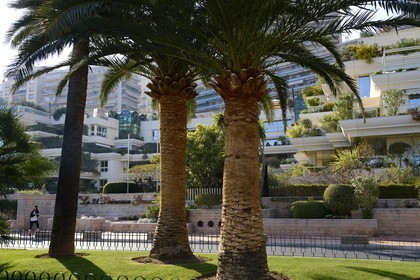 Principauté de Monaco, Monaco, Monte-Carlo, immeubles sur l'avenue Princesse Grace