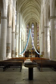 France, Meurthe-et-Moselle (54), la basilique Saint-Nicolas-de-Port, la nef courbe
