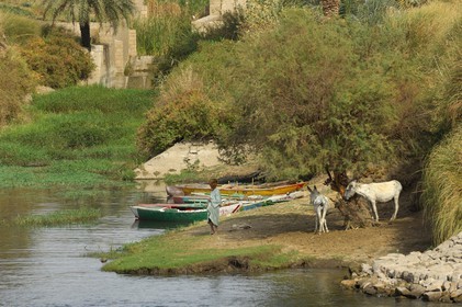 Egypt, Upper Egypt, Nile Valley, the Nile river between Edfou and Kom Ombo