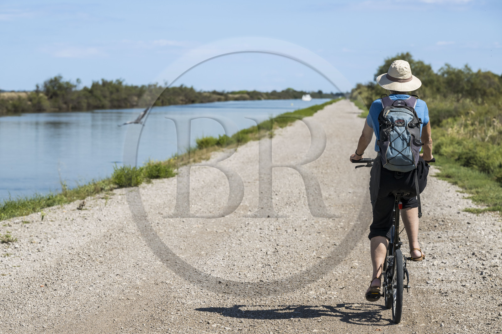 France, Hérault (34), La Grande-Motte, cycliste à vélo sur le chemin de halage du canal du Rhône à Sète