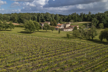 France, Charente-Maritime (17), Saint-Bris-des-Bois, abbaye de Fontdouce, ancienne abbaye bénédictine fondée en 1111 en bordure du vignoble(vue aérienne)