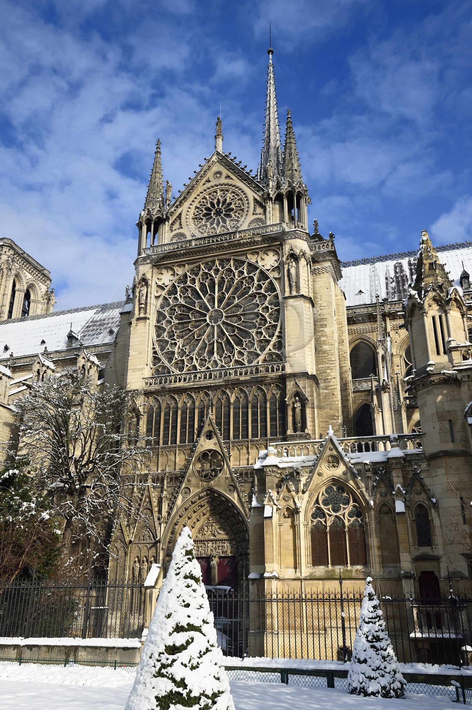 France, Paris (75), les rives de la Seine, classées Patrimoine Mondial de l'UNESCO, la Cathédrale Notre-Dame sous la neige sur l'Ile de la Cité vue depuis le quai de l'Archevêché