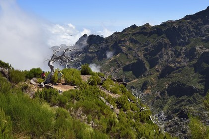 Portugal, Madeira Island, Vereda do Areeiro hike between Pico Ruivo (1862m) and Pico Arieiro (1817m), the Pico das Torres in the background