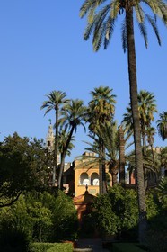 Espagne, Andalousie, Séville, Alcazar de Séville (Reales Alcazares de Sevilla), classé Patrimoine Mondial de l'UNESCO, les jardins et le Palacio Gotico
