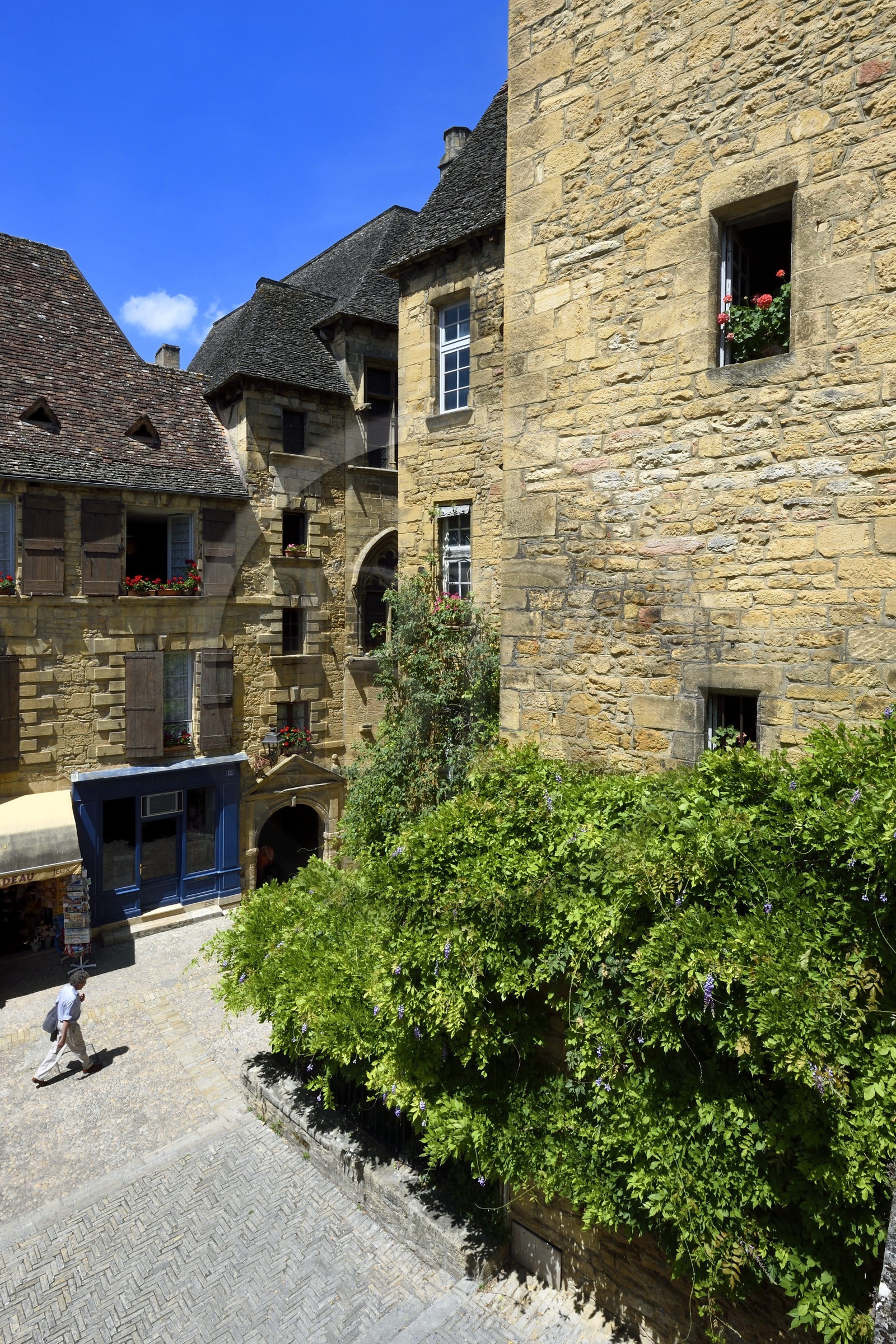 France, Dordogne (24), Périgord Noir, vallée de la Dordogne, Sarlat-la-Canéda, Place du marché aux oies