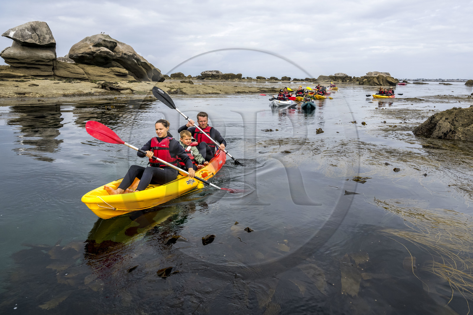 France, Finistère (29), Penmarch, archipel des Étocs, sortie en kayak du Centre nautique du Guilvinec à la découverte du phoque gris (halichoerus grypus) dans les rochers à marée basse
