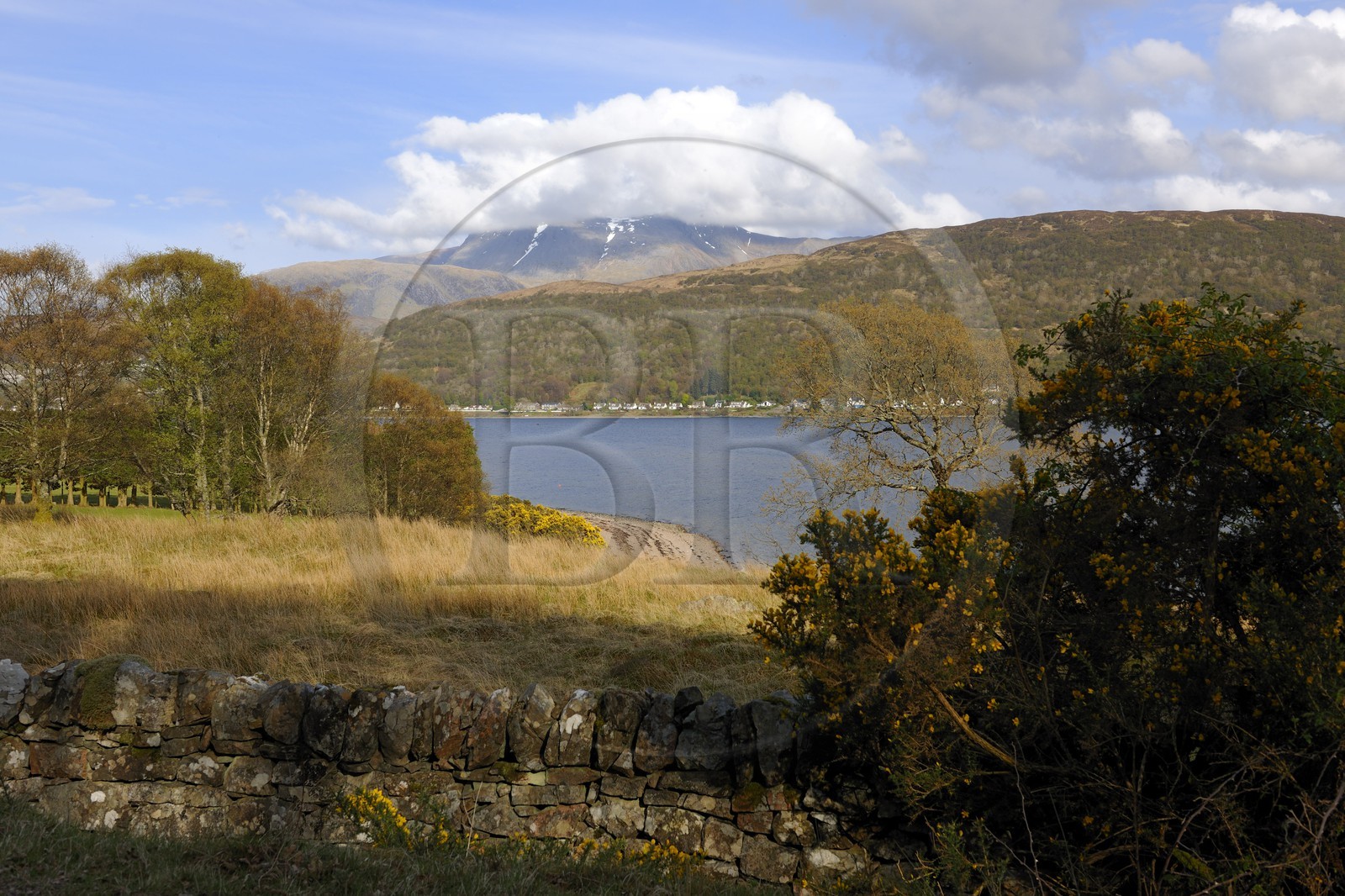 Royaume-Uni, Ecosse, région des Highlands, le Ben Nevis au bord du Loch Linnhe