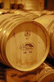 Maroc, région de Meknès, Boufakrane, Les Celliers de Meknès, les caves à vin