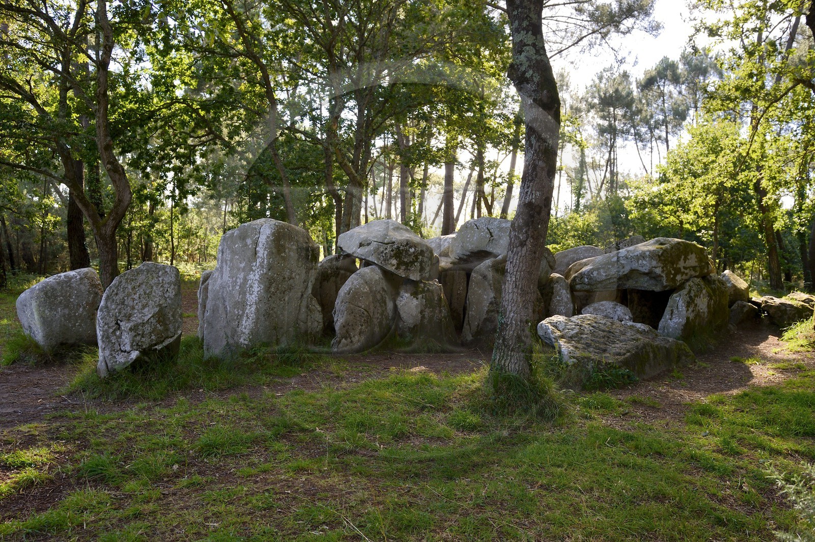 France, Morbihan, Erdeven, Mane-Croch Dolmen