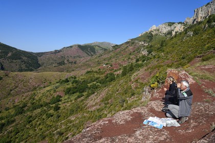 France, Alpes Maritimes, Mercantour Massif, L'Ilion, on the heights of the Gorges of Cians in red lutite soil