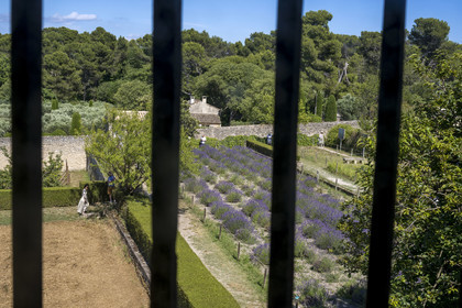 France, Bouches du Rhone, Regional Natural Park of the Alpilles, Saint Remy de Provence, Saint-Paul-de-Mausole monastery, the historic psychiatric asylum the Maison de santé Saint-Paul where Van Gogh was interned in 1889-1890, the view from the Van Gogh's room