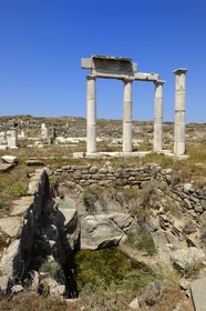 Grèce, île de Delos, classée Patrimoine Mondial de l'UNESCO, site archéologique de Délos, sanctuaire d'Apollon, la plus grande cité antique de la mer Egée, l'établissement des Poséidoniastes de Beyrouth
