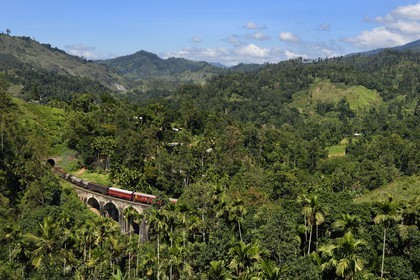 Sri Lanka, Uva Province, train on the railway track that goes through the tea growing hill country between Badulla and Ella, the Nine Arches bridge (1921) next to Ella
