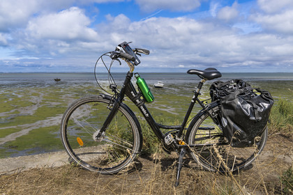 France, Vendée (85), île de Noirmoutier, La Guérinière, vélo de randonnée sur la piste cyclable qui suit la digue entre le Port de Bonhomme et le passage du Gois