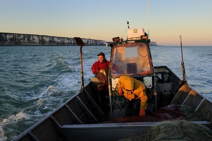 France, Seine-Maritime, off the coast of Veules-les-Roses at dawn, net fishing on the boat La Pomme owned by Anthony Paumier the youngest skipper in France