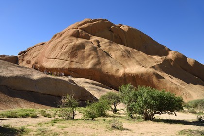Namibia, Erongo region, Damaraland, Spitzkoppe or Spitzkop (1784 m), granite mountain in the Namib Desert