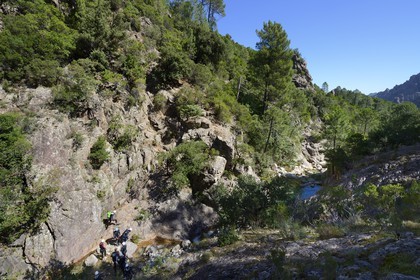 France, Corse du Sud, Alta Rocca, Bavella, canyoning in the stream of Polischellu
