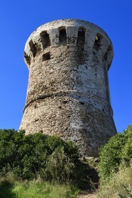 France, Corse du Sud, Zonza, Fautea genoese tower