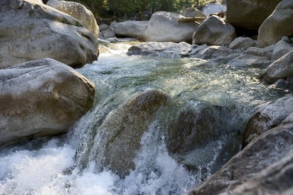 France, Haute-Corse (2B), Corte, Vallée de la Restonica