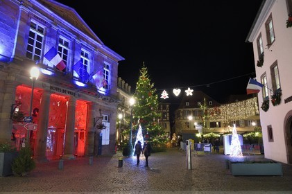 France, Bas Rhin, Strasbourg, Selestat, the town hall and its Christmas tree