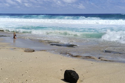 France, île de la Réunion, la côte sud, plage de Grand-Anse