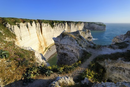 France, Seine-Maritime (76), Pays de Caux, Côte d'Albâtre, Etretat, la falaise au sud de la Manneporte