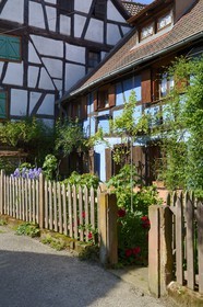 France, Bas Rhin, Bouxwiller, half timbered house in the rue des Juifs