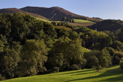 France, Pyrenees Atlantiques, Basque Country, Espelette, forests and pastures at the foot of Mont Mondarrain