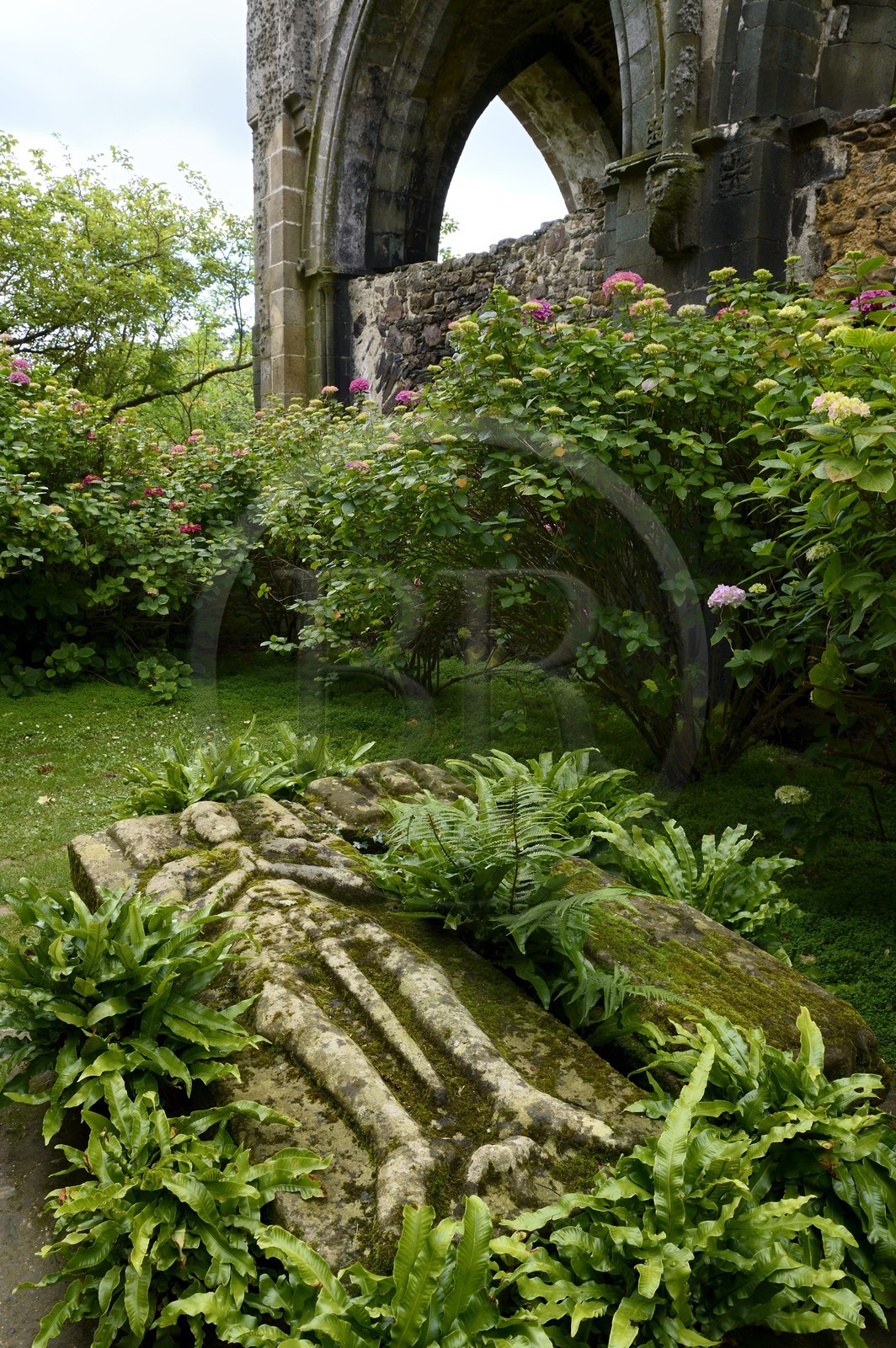 France, Côtes-d'Armor (22), étape sur le chemin de Saint-Jacques de Compostelle, Paimpol, abbaye de Beauport du XIIIe siècle, intérieur de l'église abbatiale, gisants des seigneurs de Kergozou