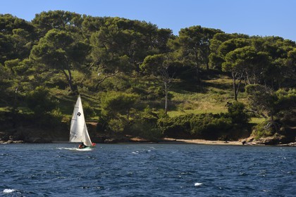 France, Var, Ile des Embiez, learning to sail on the cape of Canoubié