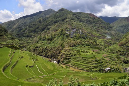 Philippines, Ifugao province, Banaue rice terraces, listed as World Heritage by UNESCO, fed by an ancient irrigation system from the rainforests above the terraces and the village of Cambulo