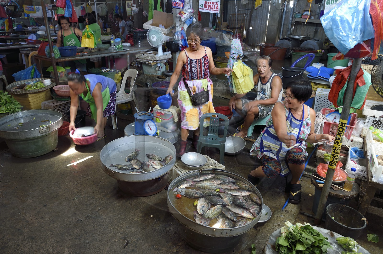 Philippines, province de Tarlac, Victoria, le marché, vente de poissons vivants