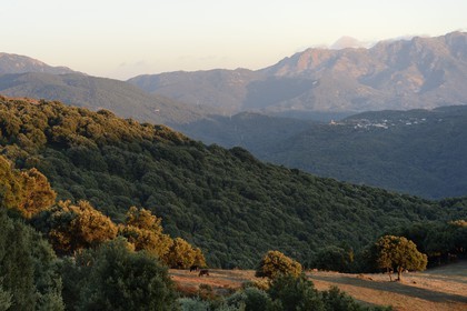 France, Corse du Sud, Alta Rocca, Fiumicicoli river valley and the village of Pantano in the background