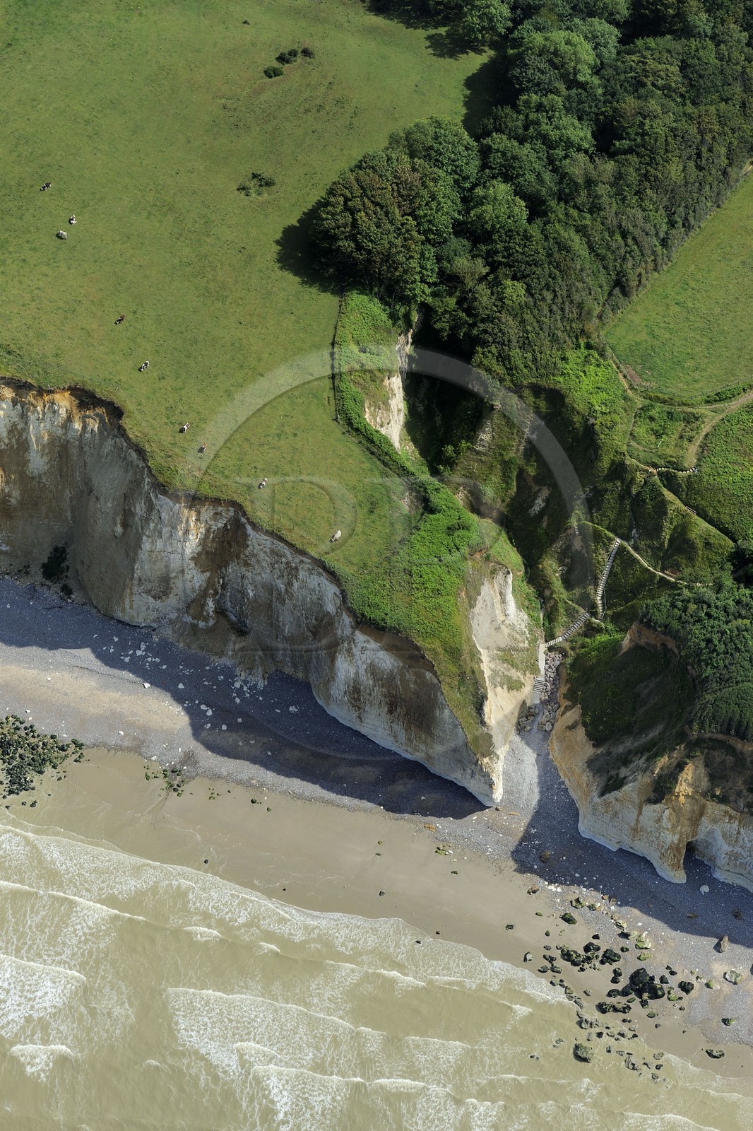 France, Seine-Maritime (76), Pays de Caux, Côte d'Albâtre, Varengeville-sur-Mer, falaises calcaires