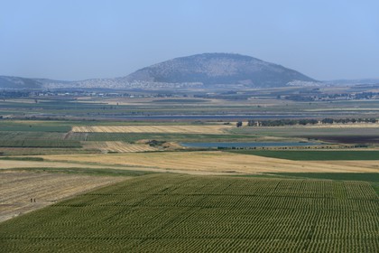 Israel,  Northern District, Galilee, Jezreel Valley and the Mount Tabor in the background