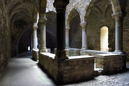 France, Alpes-Maritimes (06), Cannes, Iles de Lérins, Ile de Saint-Honorat, Abbaye de Lérins, le cloitre inférieur dit de travail du XIVème siècle de l'ancien monastère fortifié élevé en 1073