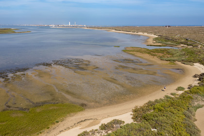Portugal, Algarve, Ria Formosa Natural Park, Faro, Island of Barreta or Deserta (Ilha da Barretta or Deserta), the lighthouse of Ilha do Farol part of  Ilha da Culatra in the background (aerial view)