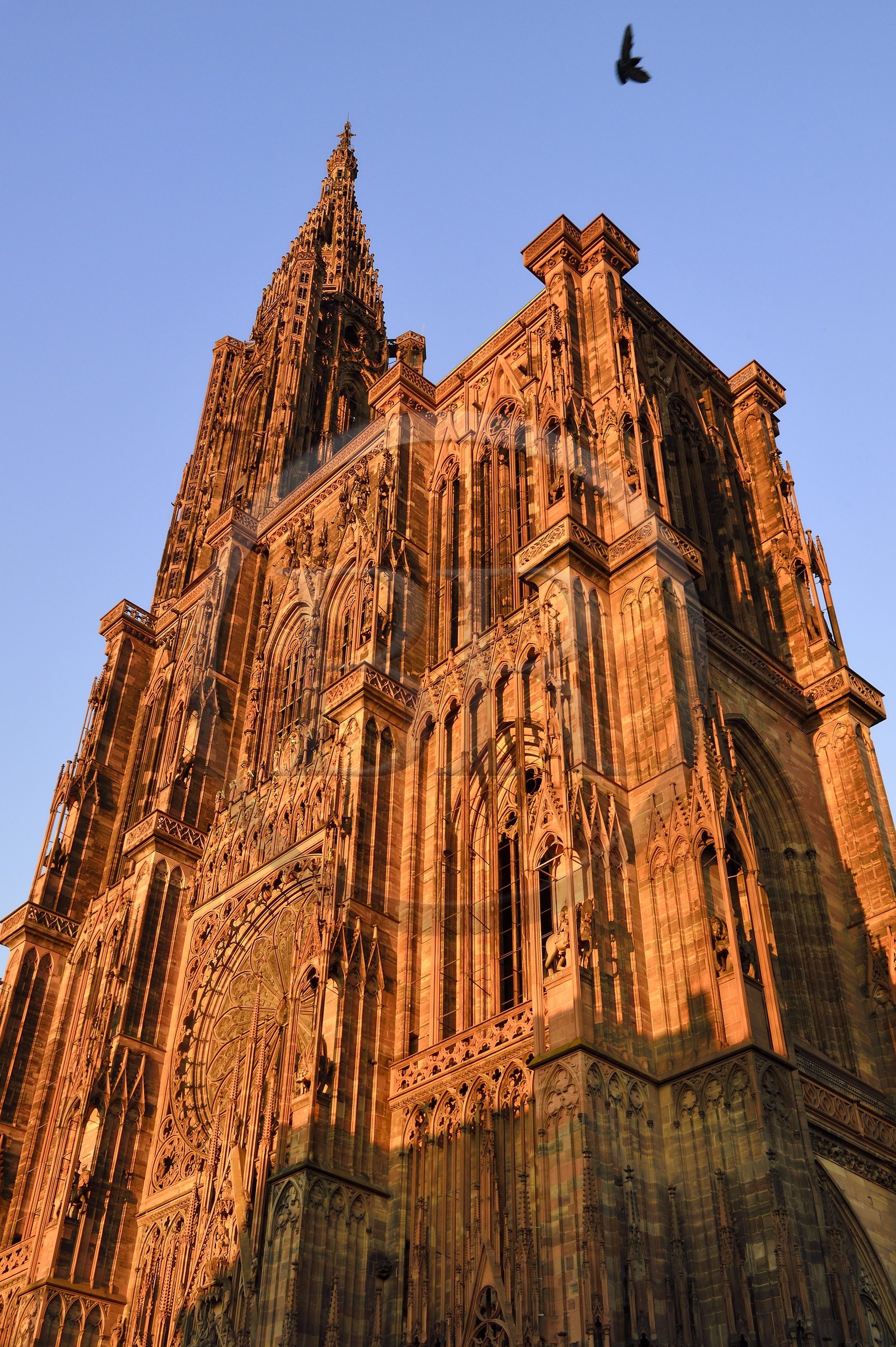 France, Bas-Rhin (67), Strasbourg, vieille ville classée au Patrimoine Mondial de l'UNESCO, la Cathédrale Notre Dame