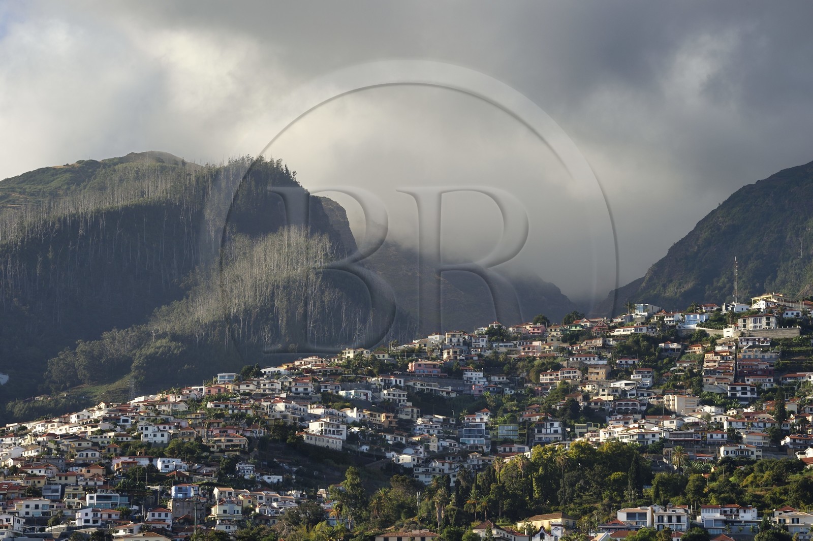 Portugal, Ile de Madère, Funchal, Sao Roque et les quartiers hauts de la ville