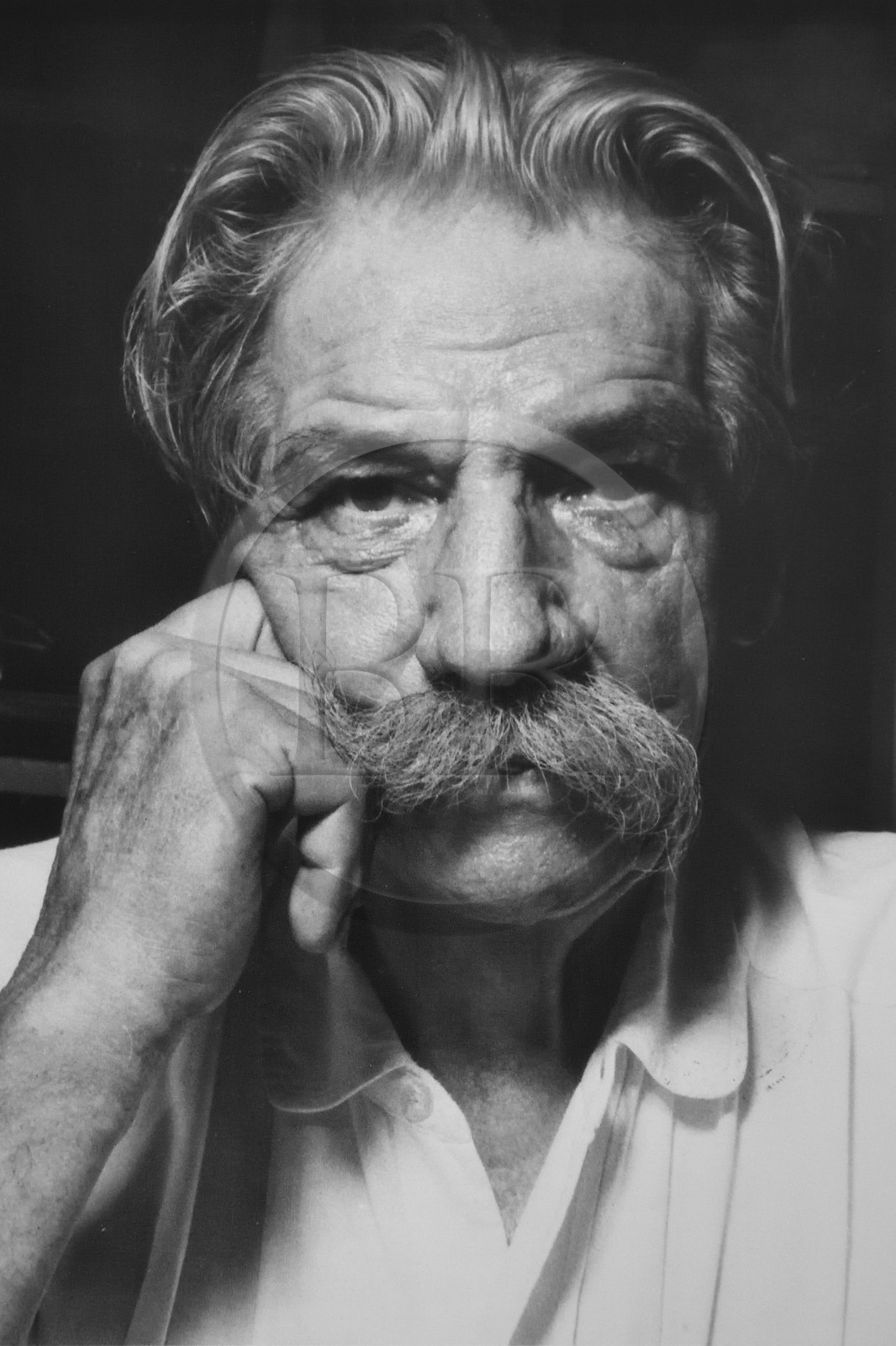 Gabon, Province du Moyen-Ogooué, Lambaréné, Hopital Albert Schweitzer, Albert Schweitzer