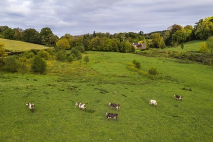France, Calvados, Pays d'Auge, La Roque Baignard castle where lived the french writer André Gide (1869-1951) (aerial view)