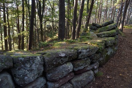 France, Bas Rhin, Mont Saint Odile, the Pagan Wall, vestige of a wall probably from the Merovingian period with a total length of eleven kilometers