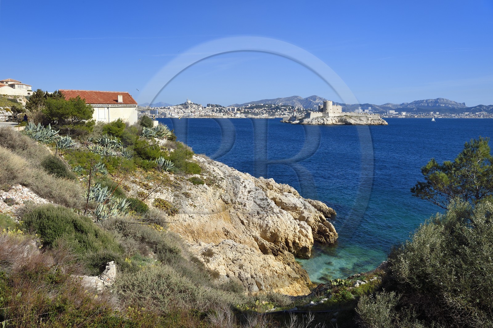 France, Bouches-du-Rhône (13), Marseille, Parc National des Calanques, Archipel des Iles du Frioul, Ile Ratonneau et le Chateau d'If
