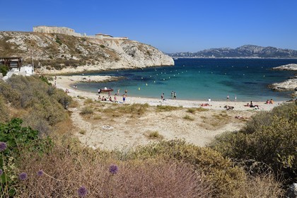 France, Bouches du Rhone, Marseille, Calanques National Park, archipelago of Frioul islands, Ratonneau island, Saint Esteve beach