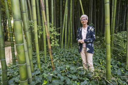 France, Gard, Generargues towards Anduze, Bambouseraie en Cévennes (Bamboo garden), President and Director Muriel Nègre