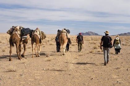 Iran, Province d'Ispahan, désert du Dasht-e Kavir, Mesr dans la région de Khur et Biabanak, randonnée chamelière