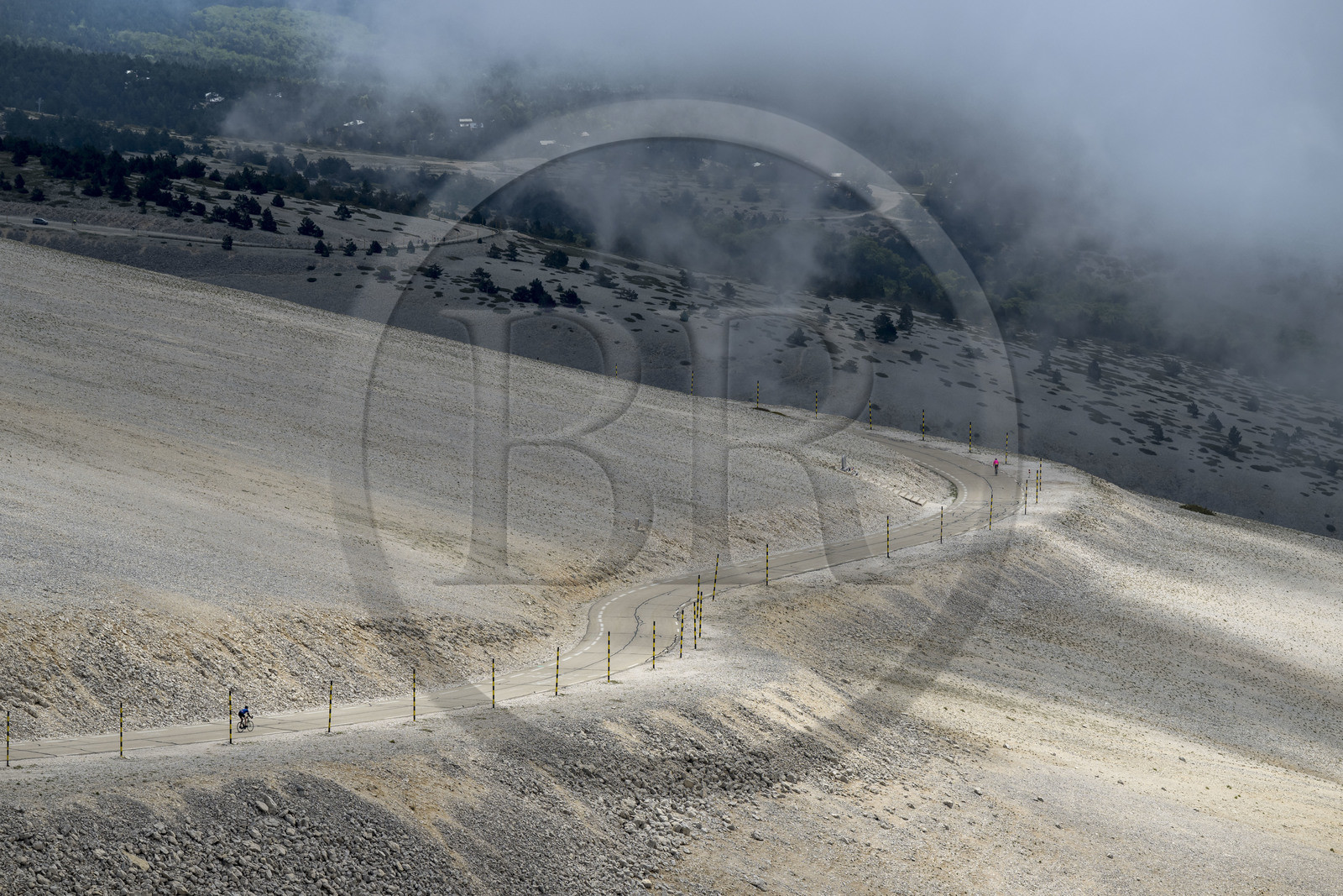 France, Vaucluse (84), Parc Naturel Régional du Mont Ventoux, Bedoin, ascension à vélo du Mont Ventoux par la route D974 sur le versant sud vers le sommet